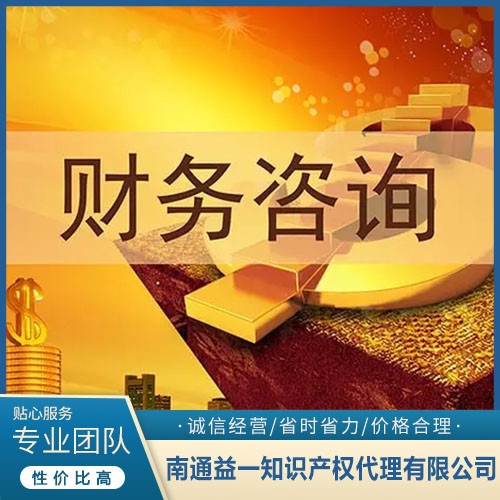 南通财务咨询公司